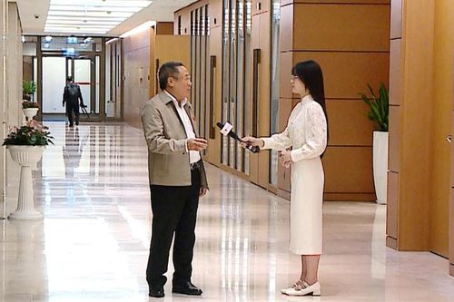 Hành lang nghị trường: Cần cân nhắc từ kinh nghiệm của nhiều nước khi áp dụng quy định về ghế an toàn cho trẻ em trên ô tô
