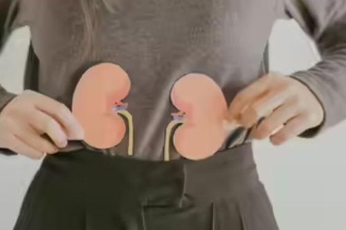 5 nguyên nhân hàng đầu gây ra protein trong nước tiểu và sỏi thận