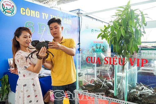 Đặc sản 'triệu đô' hội tụ tại Ngày hội Cua Cà Mau 2025