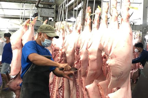 TP.HCM thí điểm sàn giao dịch thịt heo trong tháng 12