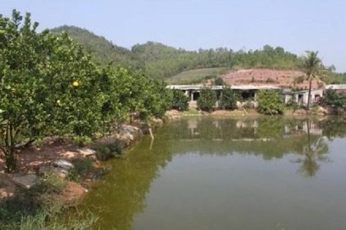 Lấp ao xây nhà là tốt?