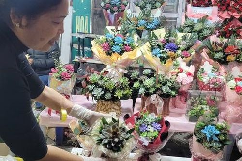 Loại cây cảnh bán chạy giá từ 80.000 đồng được phụ huynh và học sinh săn lùng để làm quà tặng thầy cô