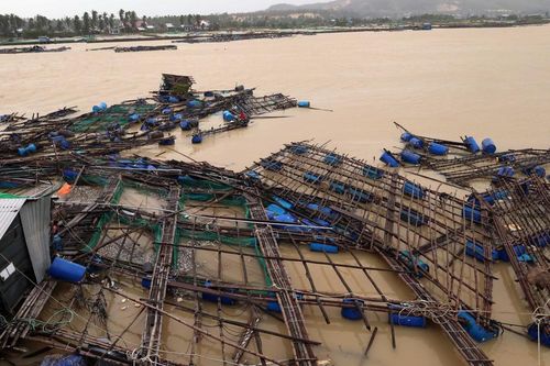 Lồng bè nuôi trồng thủy sản tại Đắk Lắk tan hoang do mưa lũ