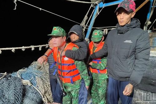 Đồn Biên phòng Cát Bà kịp thời cứu nạn thuyền viên trong đêm