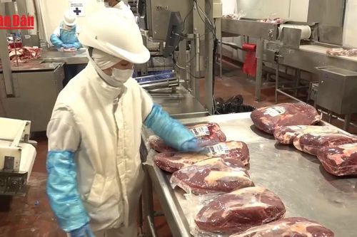 Mỹ dỡ bỏ thuế bổ sung 40% đối với nhiều mặt hàng nông sản của Brazil