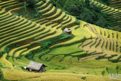 Xây dựng chiến lược tổng thể cho thương hiệu du lịch văn hóa dân tộc thiểu số