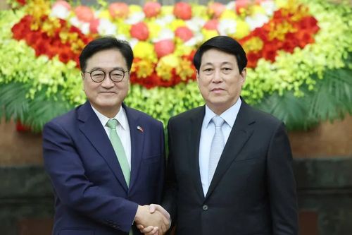 Chủ tịch nước Lương Cường hội kiến Chủ tịch Quốc hội Hàn Quốc Woo Won Shik