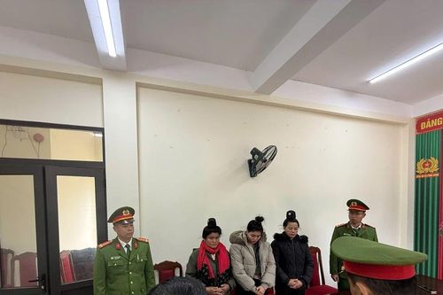 Thiếu tiền tiêu xài, 3 phụ nữ rủ nhau hái trộm quả cà phê ở Sơn La