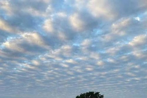 Mây gợn sóng kỳ lạ liên tục xuất hiện ở Hà Nội