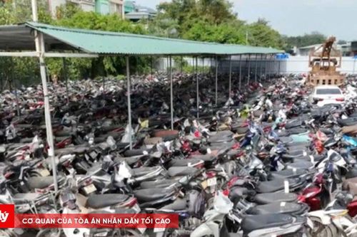 Tìm đơn vị tổ chức bán đấu giá gần 7.000 phương tiện bị tịch thu