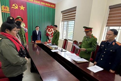 Phê chuẩn khởi tố 3 đối tượng nữ rủ nhau hái trộm cà phê