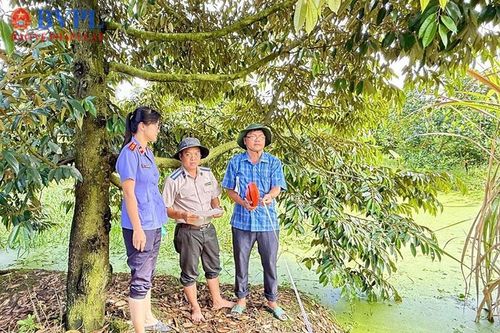 VKSND Khu vực 13 TP Cần Thơ kiểm sát hoạt động thi hành án dân sự