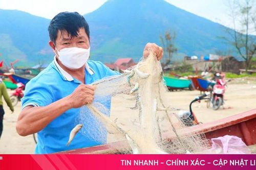 Kỳ Khang phát huy thế mạnh kinh tế biển