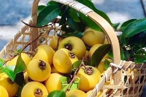Câu hỏi từ quả thị