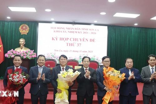 Sơn La: Kiện toàn các chức danh Chủ tịch, Phó Chủ tịch Hội đồng Nhân dân tỉnh