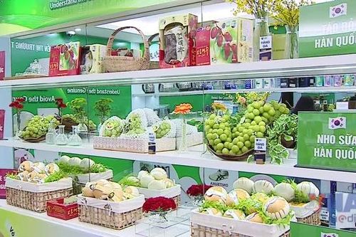 Trưng bày 500 sản phẩm nhận diện hàng thật-hàng giả