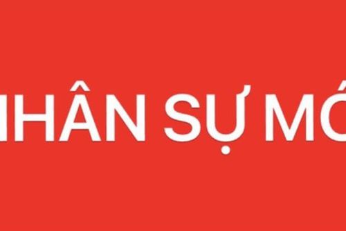 Phê chuẩn kết quả bầu, miễn nhiệm chức vụ Phó Chủ tịch UBND TP Hồ Chí Minh