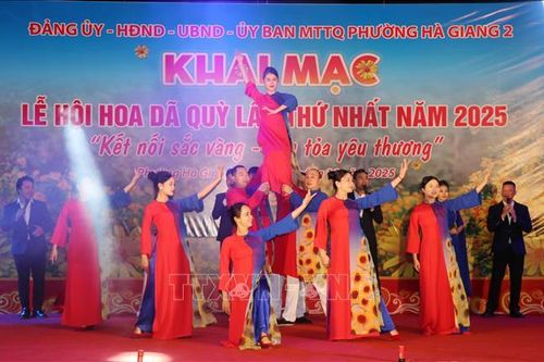 Khai mạc Lễ hội hoa Dã quỳ với chủ đề 'Kết nối sắc vàng – Lan tỏa yêu thương'