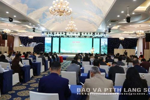 Lạng Sơn đẩy mạnh phát triển sản phẩm OCOP, hướng tới xây dựng vùng nguyên liệu đặc trưng
