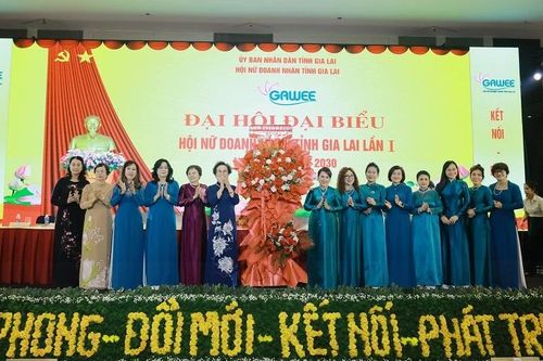 Bà Đồng Thị Ánh đảm nhiệm vai trò Chủ tịch Hội Nữ doanh nhân tỉnh Gia Lai