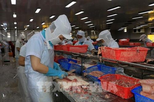 Đồng Tháp xây hệ sinh thái mới để doanh nghiệp vươn xa