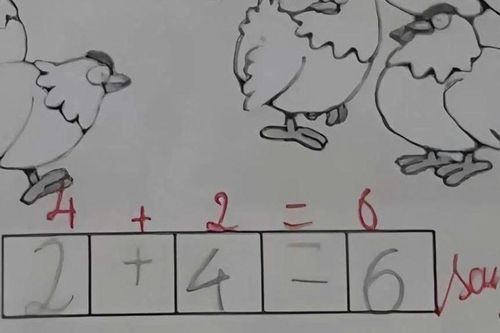 Học trò làm bài toán '2+4=6' bị chấm sai, nhiều người lại đồng tình với giáo viên