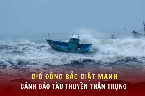 Gió Đông Bắc giật mạnh, sóng biển cao: Cảnh báo tàu thuyền thận trọng