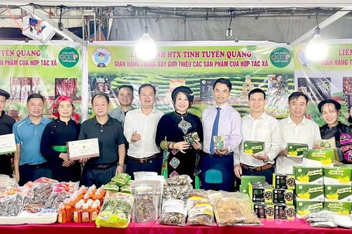 Tăng cường quảng bá, kết nối hàng hóa vùng dân tộc thiểu số và miền núi phía Nam