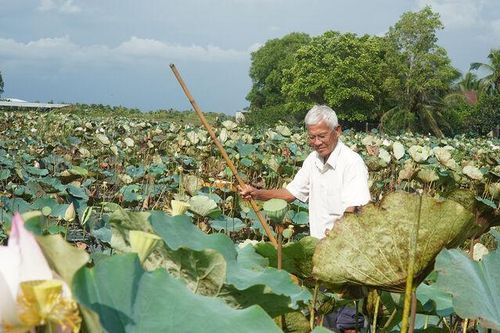 Người có uy tín góp sức giữ bình yên vùng biên