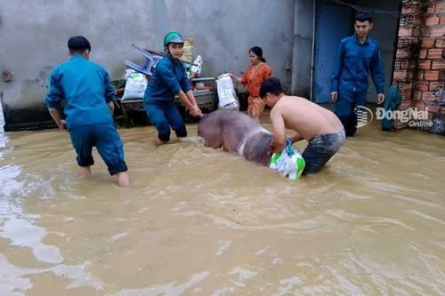 Xuyên đêm hỗ trợ nhân dân khắc phục thiên tai