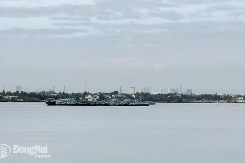 Cảnh báo rủi ro thiên tai do lũ trên sông Đồng Nai đạt cấp 2