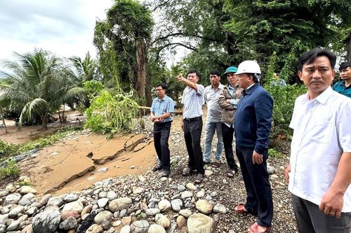 Bờ đê sông Cái đi qua xã Mỹ Sơn bị sạt lở nghiêm trọng
