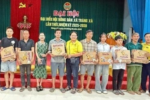 Hành trình từ trái tim đến trái tim