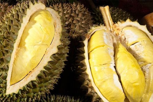 Giá sầu riêng Thái ngày 21/11 vọt lên 115.000 đồng/kg