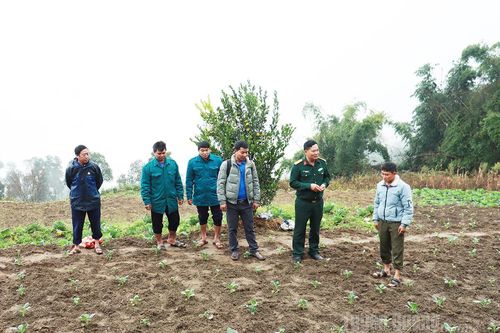 Sức sống mới ở Thàng Tín