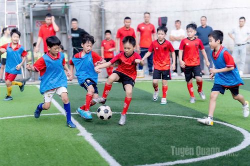 Trường Tiểu học Lê Văn Tám chú trọng phát triển thể chất cho học sinh