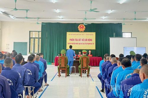 Hai bị cáo lĩnh án tù về tội sử dụng ma túy