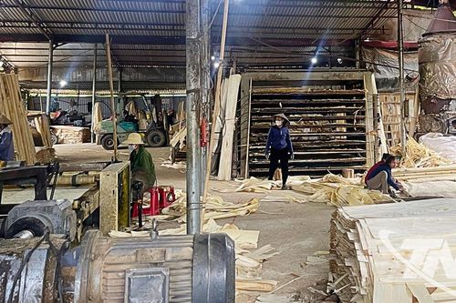 Tạo động lực tăng trưởng và nguồn thu bền vững