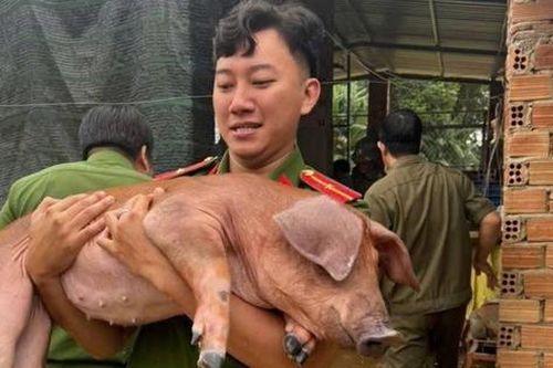 Mực nước sông Đồng Nai vượt báo động 2, nhiều vùng trũng nguy cơ ngập