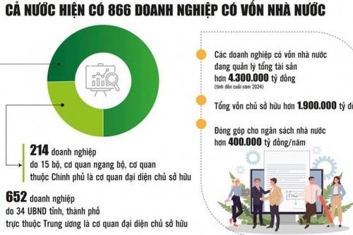 Doanh nghiệp nhà nước: Tập trung vào lĩnh vực then chốt để phát huy vai trò dẫn dắt