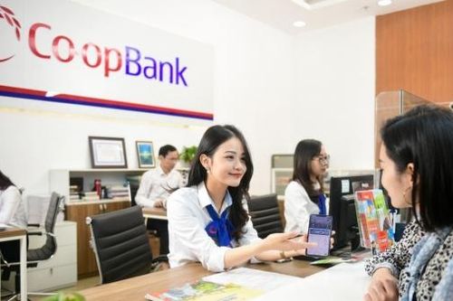 Kết luận thanh tra ngân hàng tại Co-opBank Chi nhánh Nghệ An
