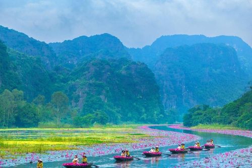 Sắc hồng Tam Cốc 2025 - Bản tình ca mùa Thu