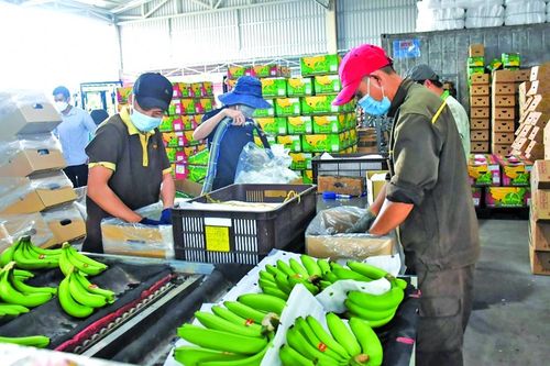 Cơ hội mở rộng cho vay kinh tế tập thể
