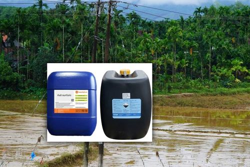 100 can axit sunfuric được cảnh báo là 'rất nguy hiểm'