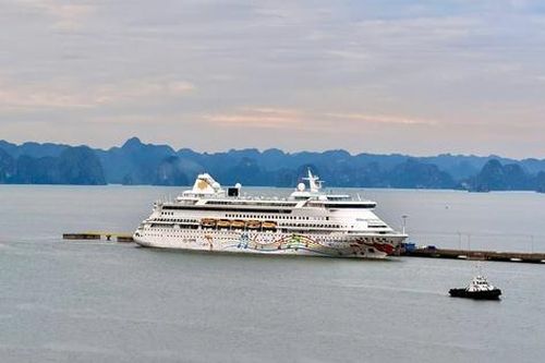 520 đơn vị du lịch hội tụ ở 'Ngày Lữ hành Việt Nam 2025' tại Quảng Ninh