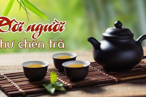 Đời người như chén trà
