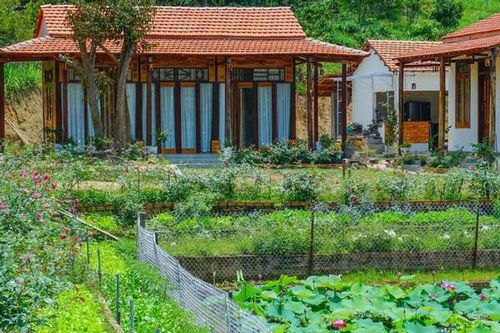 Nữ quản lý bỏ phố về quê để nghỉ hưu sớm với 11 tỷ: 3 năm sau hối hận quay lại thành phố tìm việc