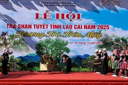Khai mạc Lễ hội trà Shan tuyết tỉnh Lào Cai