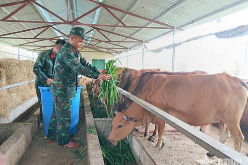 'Thực túc binh cường' ở Trung đoàn 82