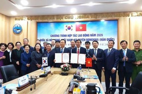 Ký kết hợp tác phái cử lao động Đà Nẵng sang Hàn Quốc
